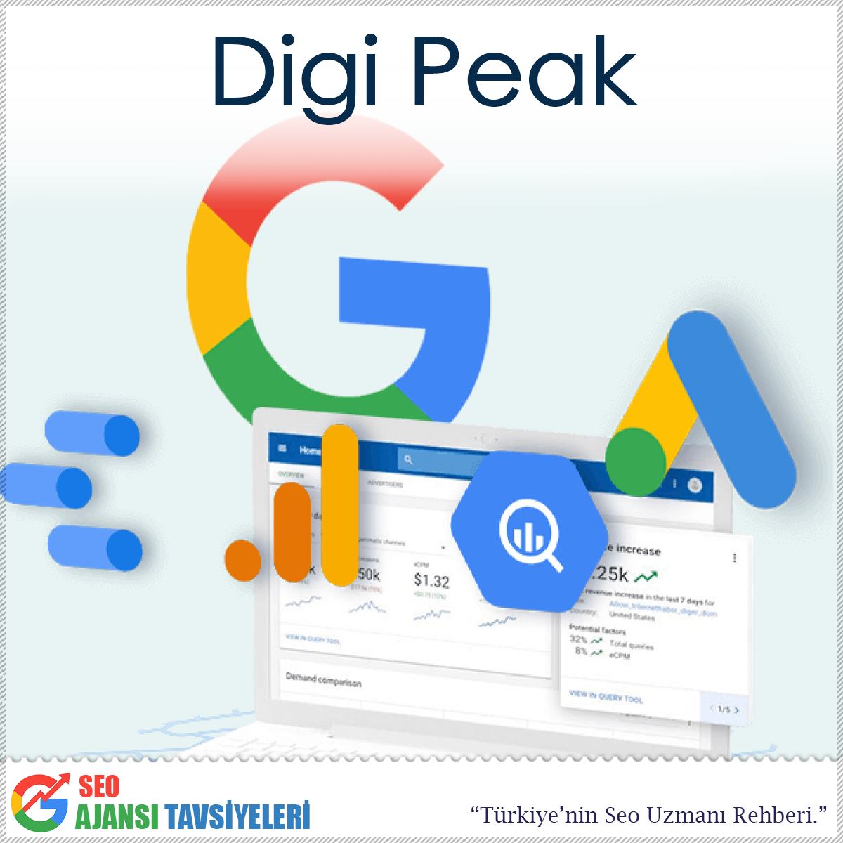 Digi Peak logo