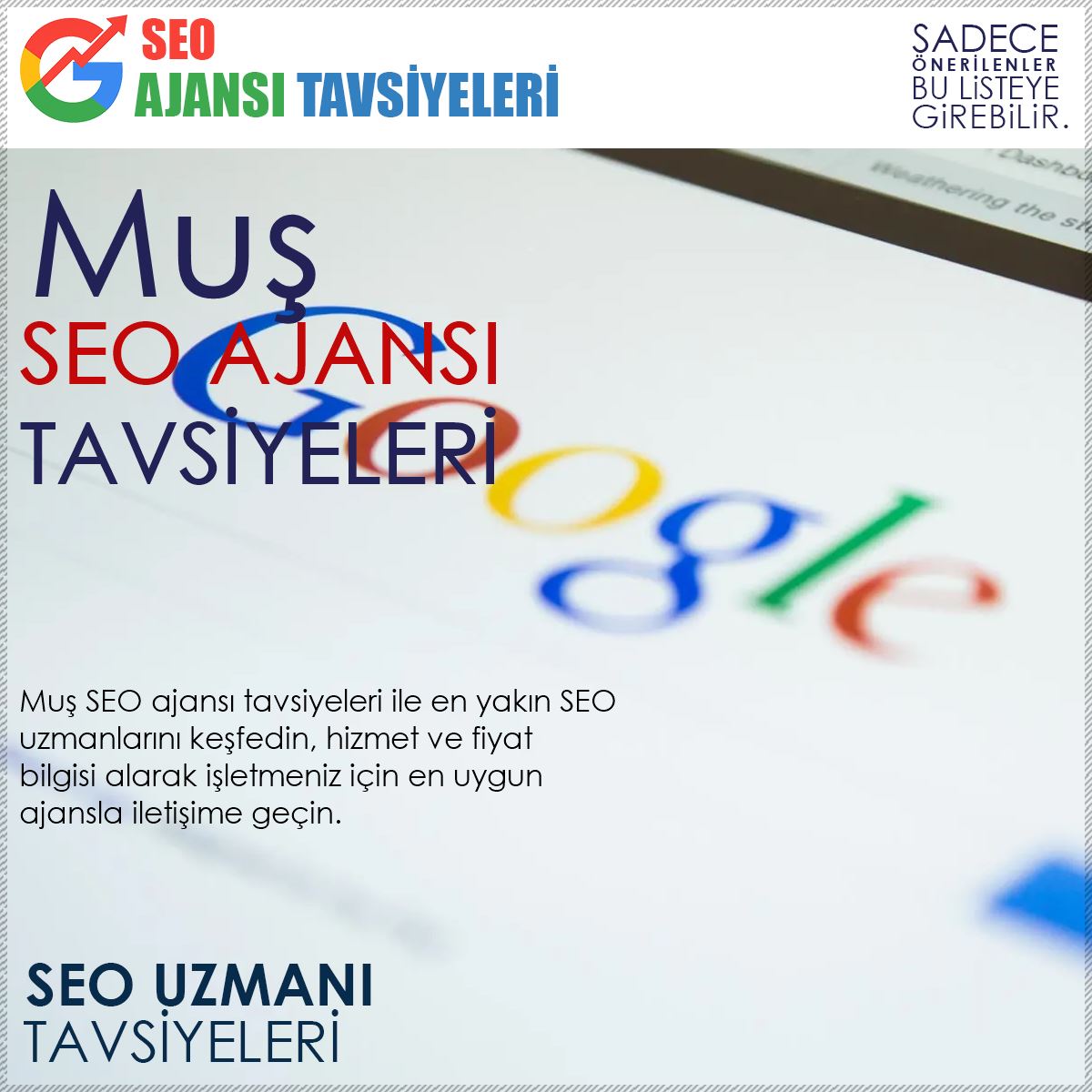 Muş Seo Ajansı Tavsiyeleri